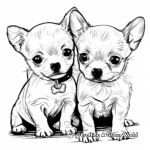 Chihuahua Puppies Coloring Pages 4