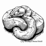 Coiling Anaconda Coloring Pages 3