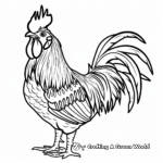 Colorful Cockerel Rooster Coloring Pages 2