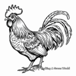 Colorful Cockerel Rooster Coloring Pages 4