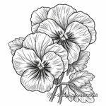 Colorful Pansy Coloring Pages for Kids 1