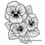 Colorful Pansy Coloring Pages for Kids 2