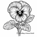 Colorful Pansy Coloring Pages for Kids 3