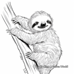 Coloring Pages of Baby Sloth Actions (playing, climbing, sleeping) 2