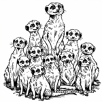 Complex Meerkat Colony Life Coloring Pages 1