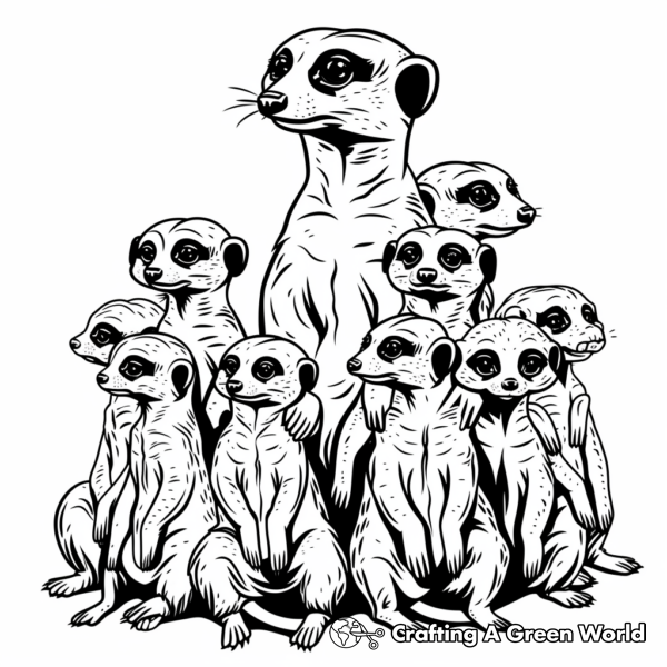 Meerkat Coloring Pages - Free &amp; Printable!