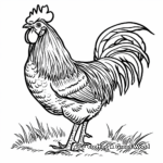 Country Farm Rooster Coloring Pages 2