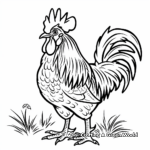 Country Farm Rooster Coloring Pages 3