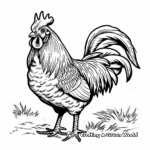 Country Farm Rooster Coloring Pages 4