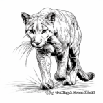 Creative Puma Coloring Pages 2