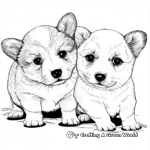 Cute Corgi Puppies Coloring Pages 1