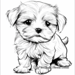 Cute Maltese Puppy Coloring Pages 2