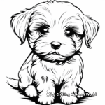 Cute Maltese Puppy Coloring Pages 3