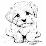 Cute Maltese Puppy Coloring Pages 4