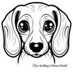 Dachshund Dog Face Coloring Pages: Fun for Everyone 2