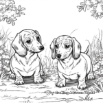 Dachshund Puppies In A Garden Coloring Pages 1