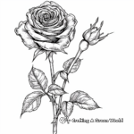 Delicate Rose - June's Birth Flower Coloring Pages 4