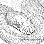 Detailed Anaconda Skin Pattern Coloring Pages for Adults 1