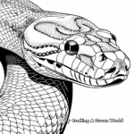 Detailed Anaconda Skin Pattern Coloring Pages for Adults 2