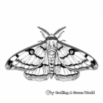 Detailed Hawk Moth Coloring Pages for Adults 4