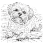 Detailed Maltese Breed Coloring Pages for Adults 4