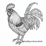 Detailed Oriental Rooster Coloring Pages 2