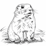 Detailed Prairie Dog Coloring Pages for Adults 4