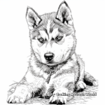 Detailed Siberian Husky Puppy Coloring Pages for Adults 4