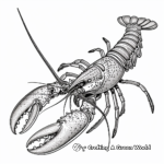 Detailed Spiny Lobster Coloring Page for Adults 2