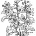 Detailed Witch-hazel Flowers Coloring Pages for Adults 1