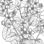 Detailed Witch-hazel Flowers Coloring Pages for Adults 2