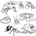 Discovering Insects: Preschool Bug Coloring Pages 4