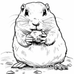 Eating Prairie Dog Coloring Pages 1