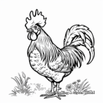 Elegant French Rooster Coloring Pages 1