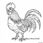 Elegant French Rooster Coloring Pages 2