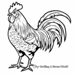Elegant French Rooster Coloring Pages 3
