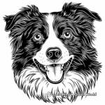 Energetic Border Collie Face Coloring Pages 2