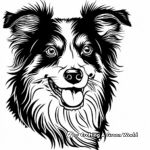 Energetic Border Collie Face Coloring Pages 3