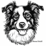 Energetic Border Collie Face Coloring Pages 4