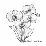 Exotic Orchid Coloring Pages 1