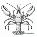 Exotic Slipper Lobster Coloring Pages 1