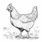 Farm Animal Chicken Coloring Sheets 1