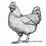 Farm Animal Chicken Coloring Sheets 2