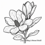 Fascinating Magnolia Flower Coloring Pages 2