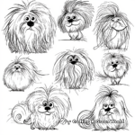 Fluffy Maltese Coloring Pages with Different Hairstyles 1