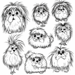 Fluffy Maltese Coloring Pages with Different Hairstyles 3