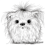 Fluffy Maltese Coloring Pages with Different Hairstyles 4