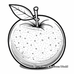 Freshly-Picked Orange Coloring Pages 4
