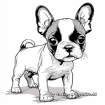 Fun Boston Terrier Puppy Coloring Pages 1
