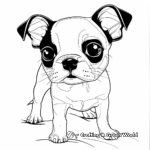 Fun Boston Terrier Puppy Coloring Pages 4